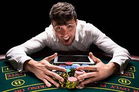 estrela bet app